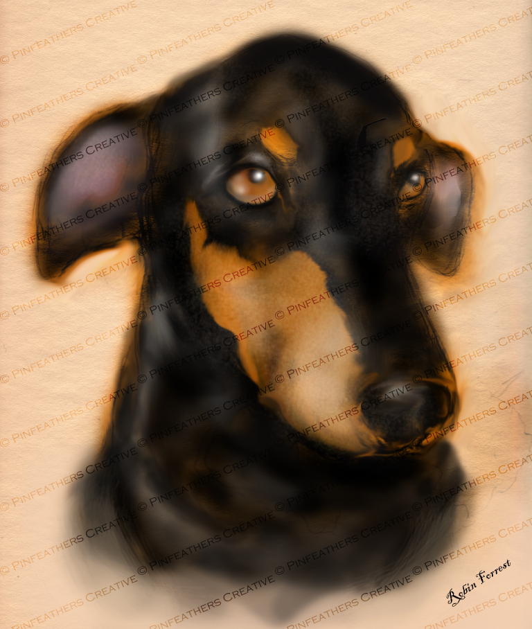 Benett Doberman Pinscher