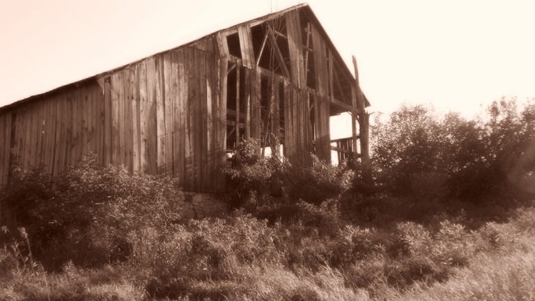 The Barn
