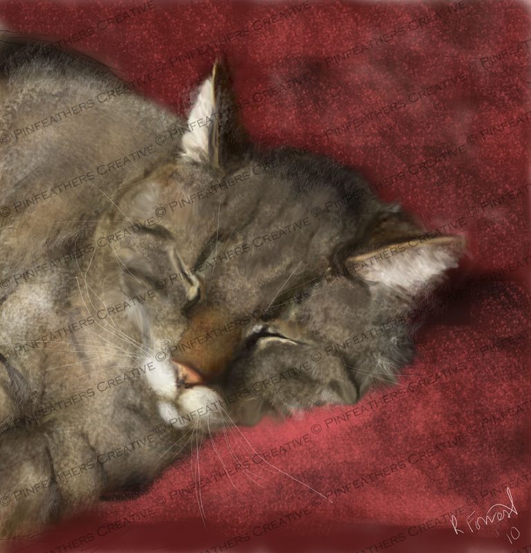 Cat At Rest