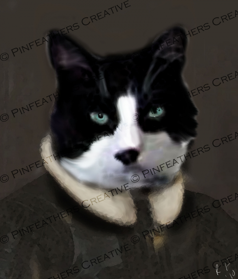 Tuxedo Judge