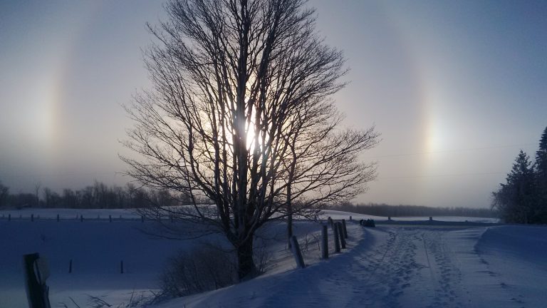Sun Dog
